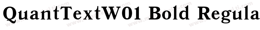 QuantTextW01 Bold Regular字体转换